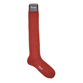 Cotton Wide Rib Long Socks in Clay