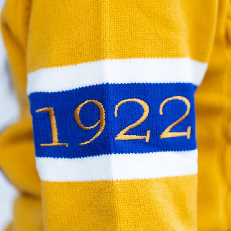 Custom Greek SGRHO Knitted Cardigan - 100% Cotton, OEM/ODM Manufacturer