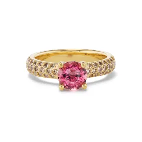 David Ring - Tourmaline