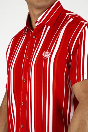 Dolphins Sorrento Party Shirt