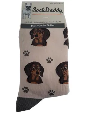 Socks  Dachshund (Red) Dog                  800-14  H