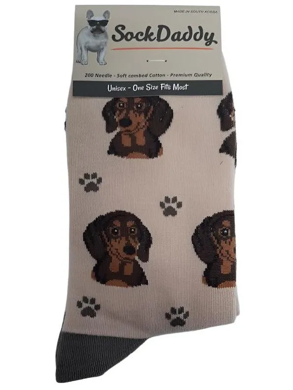 Socks  Dachshund (Red) Dog                  800-14  H